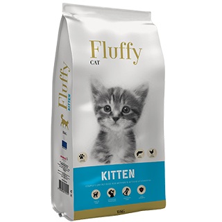 Fluffy Cat