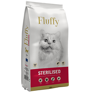 Fluffy Cat